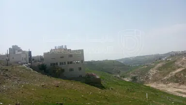أرض في الدمينة خلف الظهير وخلف مسجد العاشوري غرب عمان  - 300,000 دأ - صورة NaN