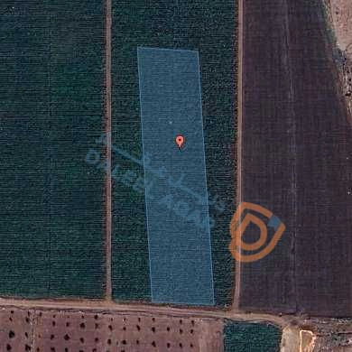 أرض في قطعة ارض للبيع في منطقة الرمثا - 75,860 دأ - صورة 1