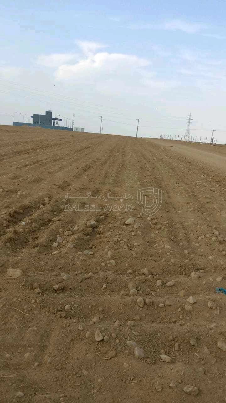 أرض في  ارض مشروع الحسبة الجديدة  قرب إشارة السايبر ستي - 18,000 دأ - صورة 1