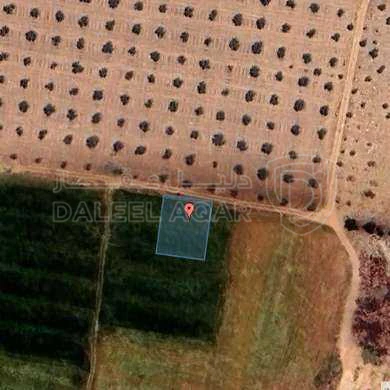 أرض في منطقة جنوب عمان - 72,000 دأ - صورة 1