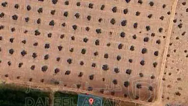 أرض - منطقة جنوب عمان - 72000 دأ