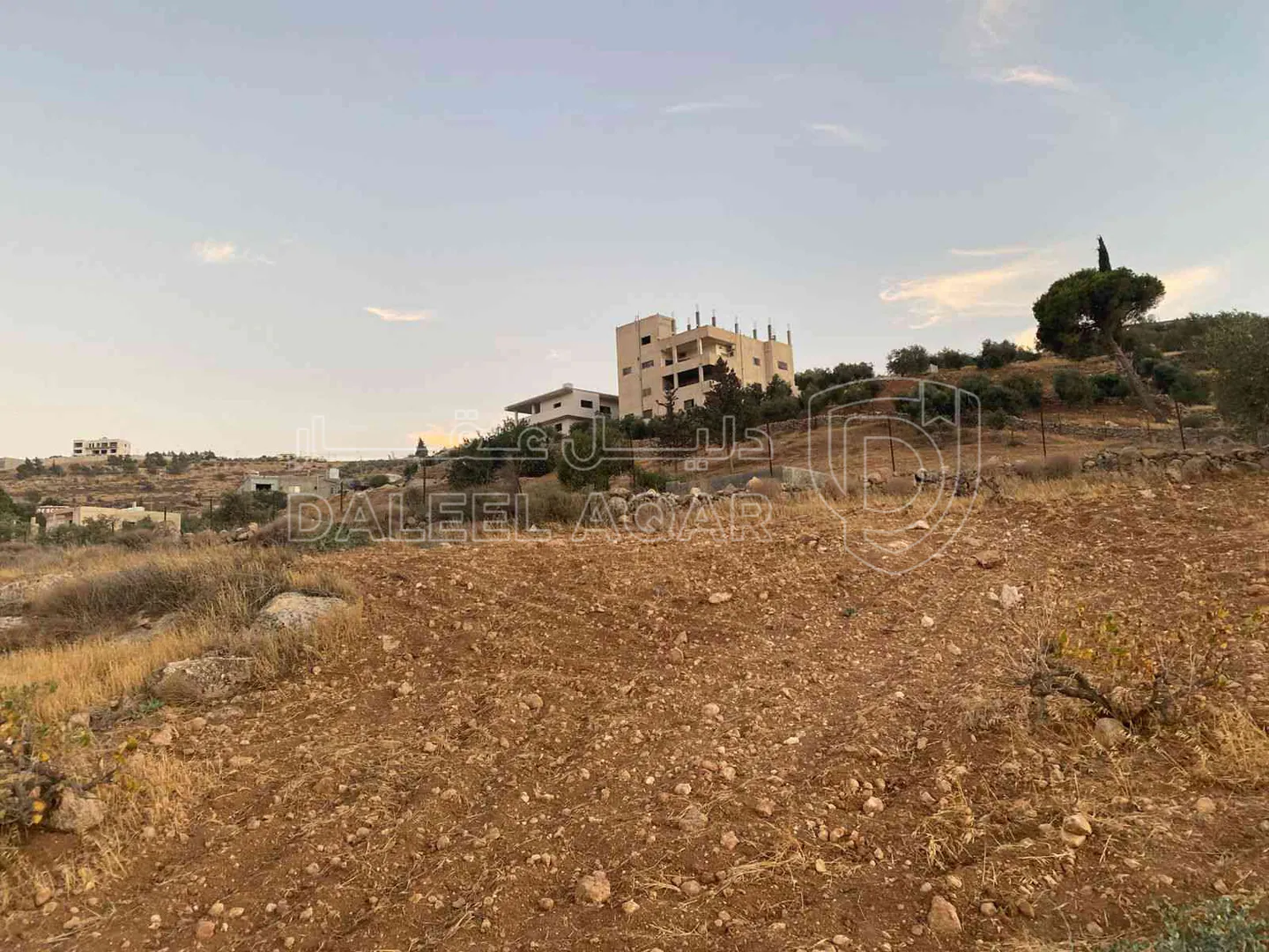 أرض في الزرقاء بيرين ام رمانة الملوط - 35,000 دأ - صورة 1