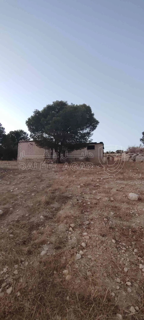 أرض في الزرقاء قضاء بيرين صروت  - 187,500 دأ - صورة 1