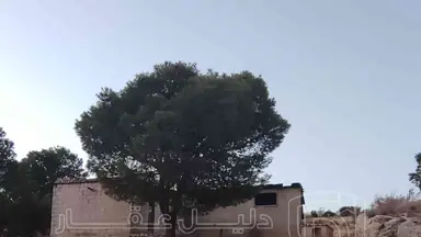 أرض في الزرقاء قضاء بيرين صروت  - 187,500 دأ - صورة NaN
