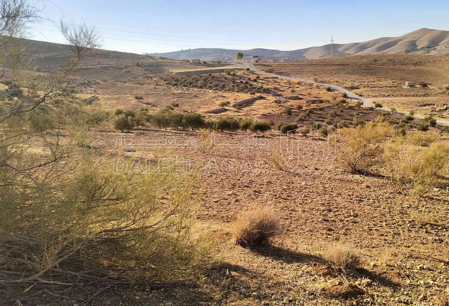 أرض في بيرين / صروت – أم خشيبة الشمالي - 120,000 دأ - صورة 1