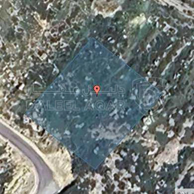 أرض في عمان - العال و الروضة  - 72,000 دأ - صورة 1
