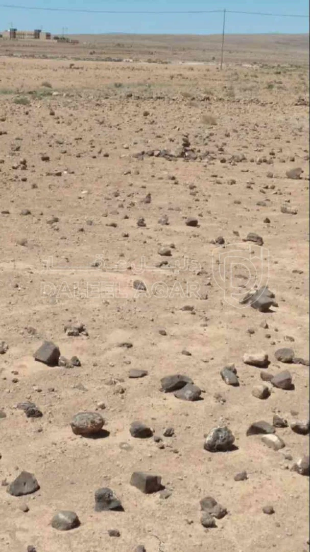 أرض في المفرق لواء البادية الشمالية الشرقية قرية الهاشمية الشرقية طريق عمان بغداد الدولي  - 11,500 دأ - صورة 1