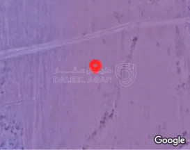 أرض - المفرق الفدين قرب منزل ابو عامر حماشا - 170000 دأ