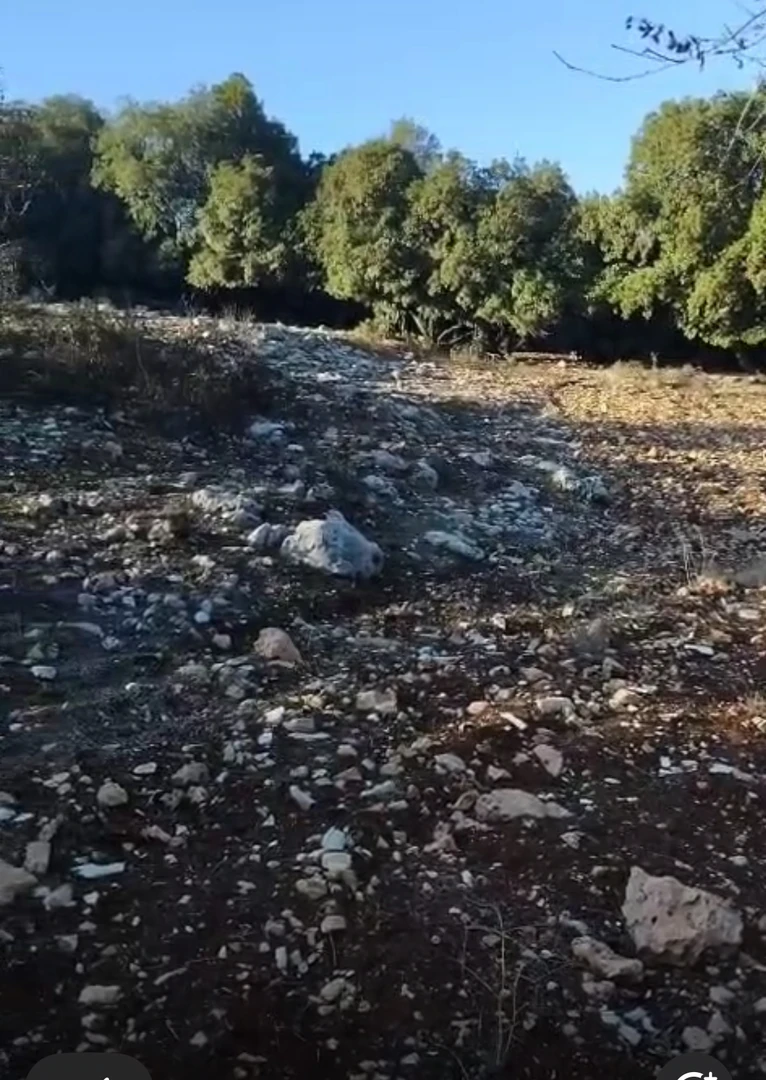 أرض في محافظة عجلون عين جنا - 34,000 دأ - صورة 1
