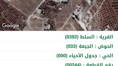 أرض في ارض4دونم مع بيت ريفي  للبيع بسعر مغري في السرو  - 225,000 دأ - صورة NaN