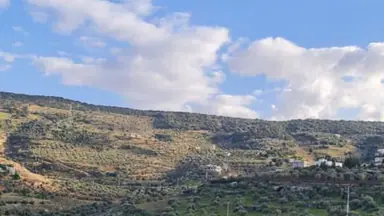 مزرعة/شاليه في السلط سيحان  - 300,000 دأ - صورة NaN