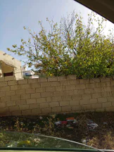 مبنى في ناعور - 150,000 دأ - صورة NaN
