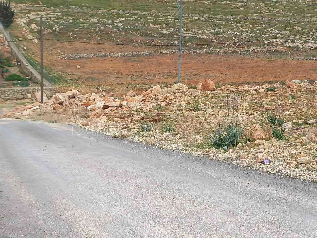 أرض في المفرق - 19,000 دأ - صورة 1