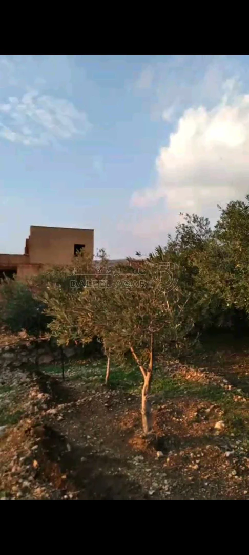أرض في عمان ناعور - 40,000 دأ - صورة 1