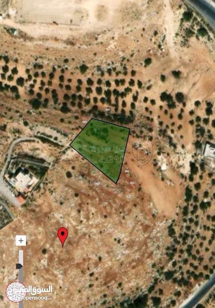 أرض في دونمين لقطة في السلط شارع الستين - 85,000 دأ - صورة 1