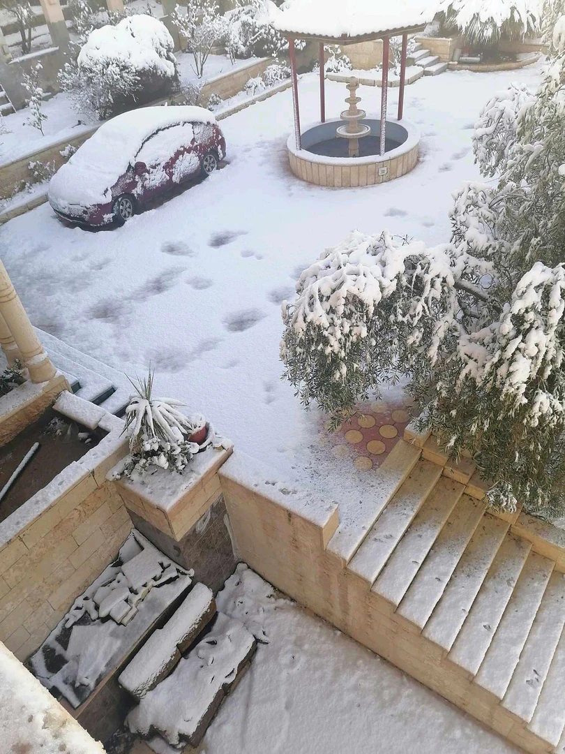 مبنى في المفرق .منشية بني حسن. وسط البلد  - 260,000 دأ - صورة 1
