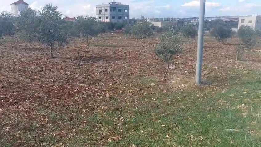 أرض في اربد قرية تقبل ام الجدايل  - 27,000 دأ - صورة 1