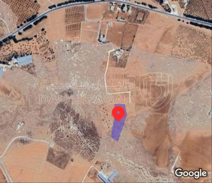 أرض في ارض زراعية - 36,000 دأ - صورة 1