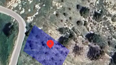 أرض - عمان، مرج الحمام، ام السماق - 250000 دأ