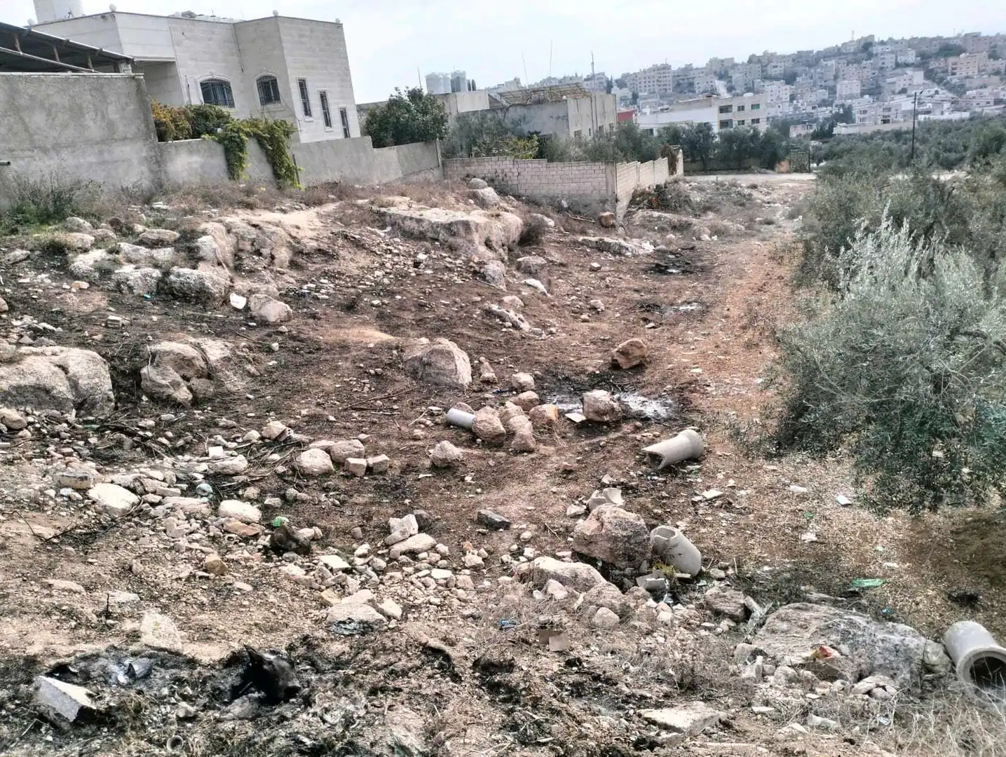أرض في اربد بيت راس - 32,000 دأ - صورة 1