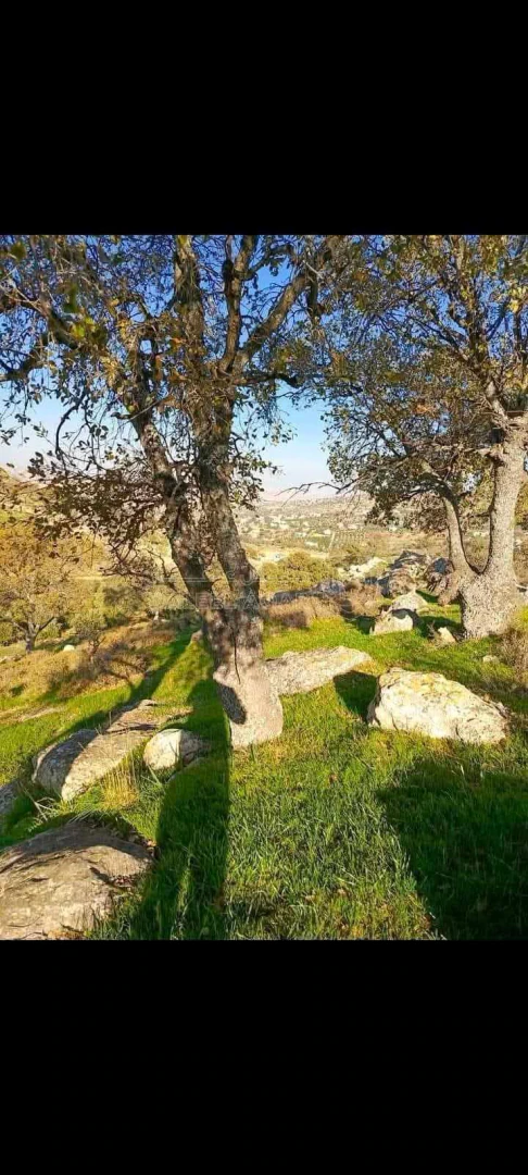 أرض في العالوك - 82,000 دأ - صورة 1