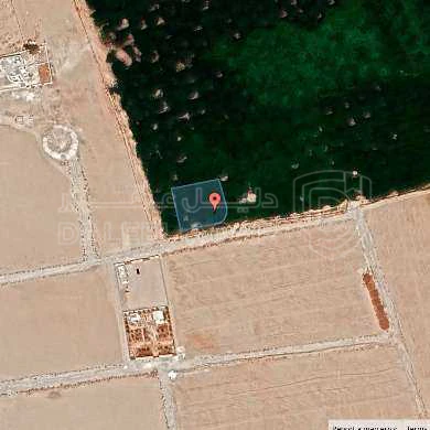 أرض في جنوب عمان - 13,450 دأ - صورة 1