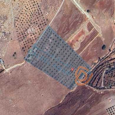 أرض في عمان بدر الجديدة والمدينة الطبية ومقام النبي شعيب - 1,524,000 دأ - صورة 1