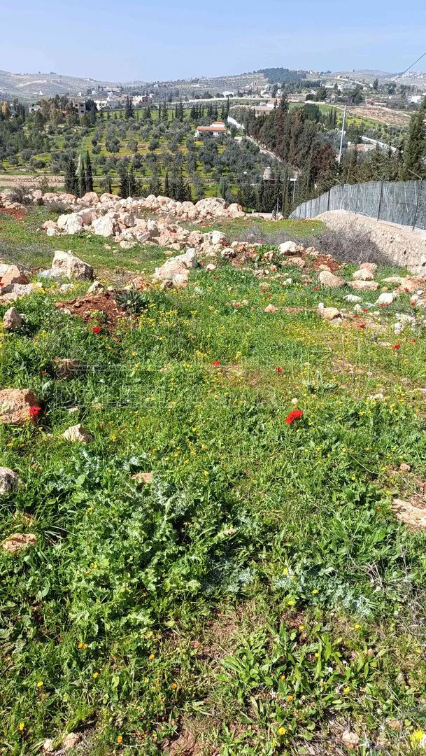 أرض في منطقة دحل طريق الزرقاء جرش - 50,000 دأ - صورة 1