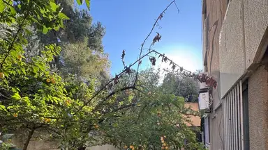 شقة في عمان ابو نصير بجانب كشك رامي  - 55,000 دأ - صورة NaN
