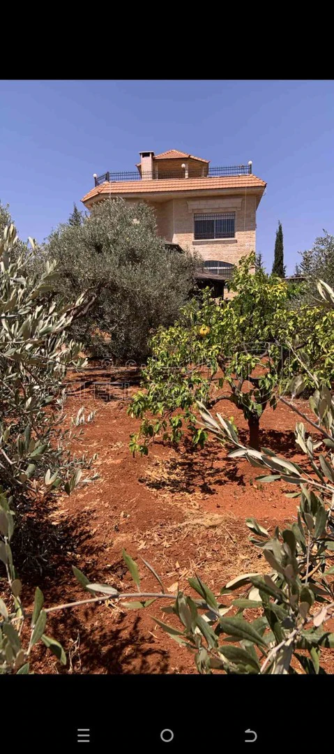 فيلا/منزل في الصبيحي - 500,000 دأ - صورة 1
