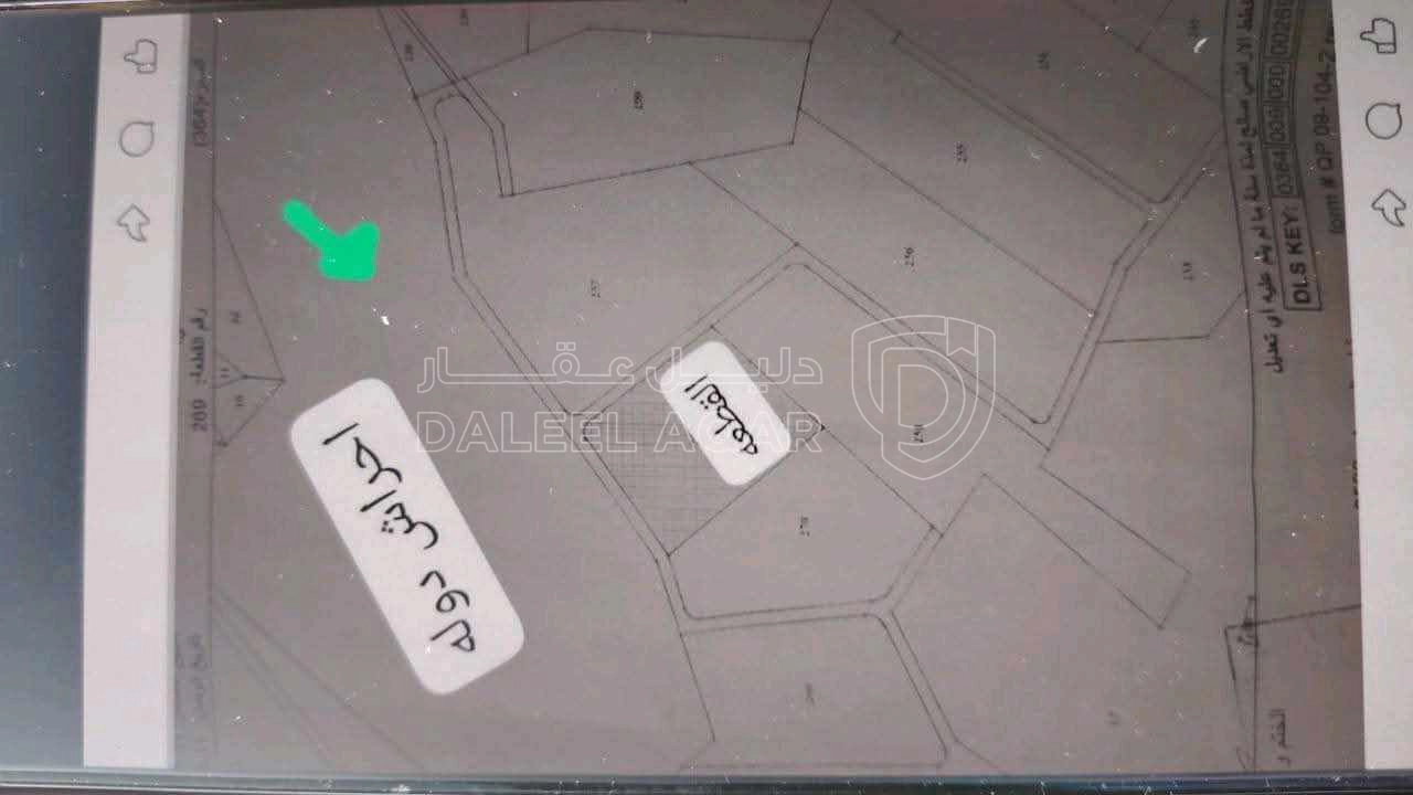 أرض في العالوك - 82,000 دأ - صورة 1