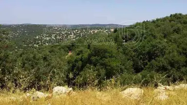 أرض في قطعة أرض بإطلالة ساحرة للبيع في عجلون - 100,000 دأ - صورة NaN