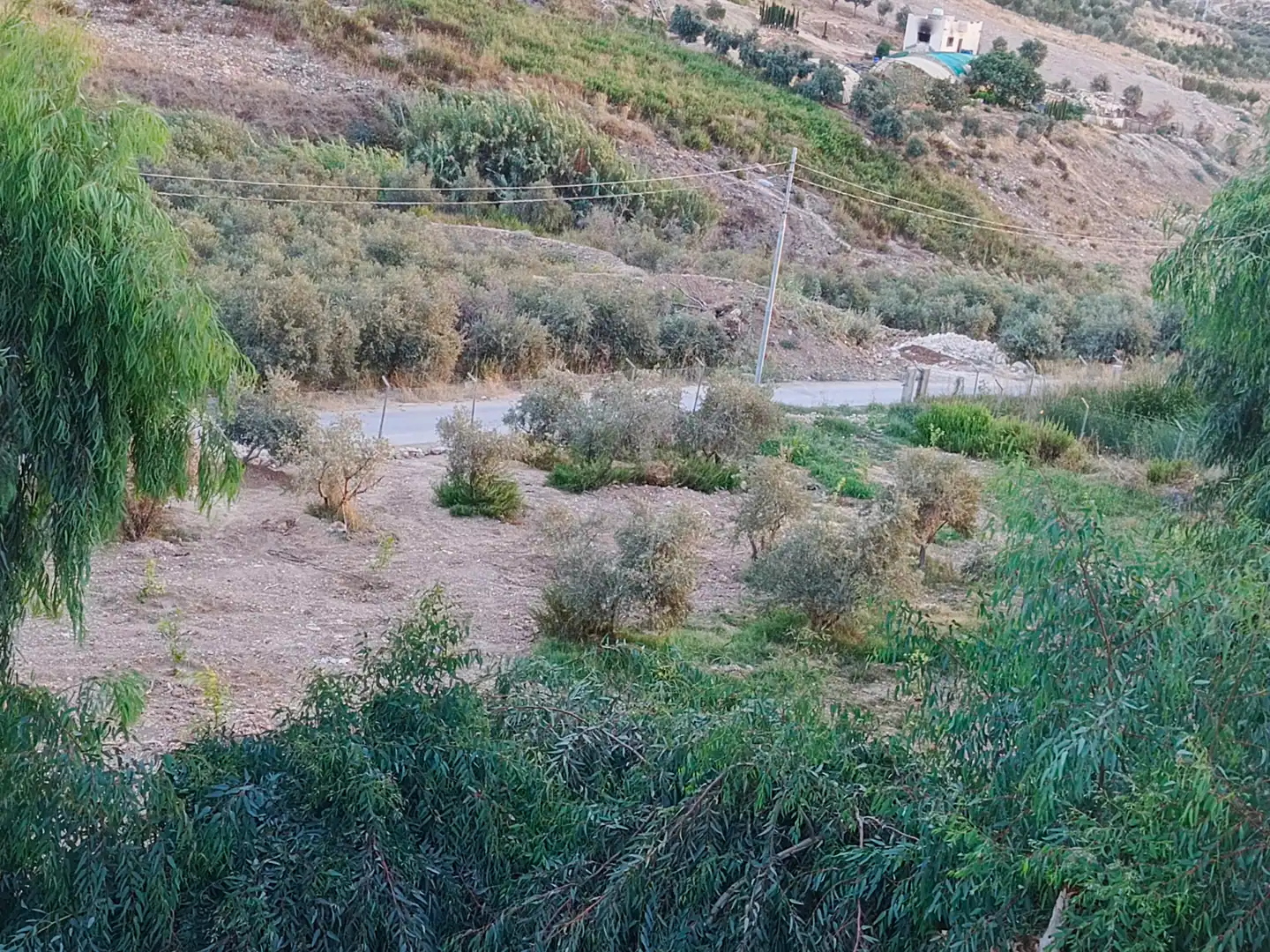 أرض في عمان ناعور سيل حسبان بعد دار الدواء بالقرب  - 150,000 دأ - صورة 1