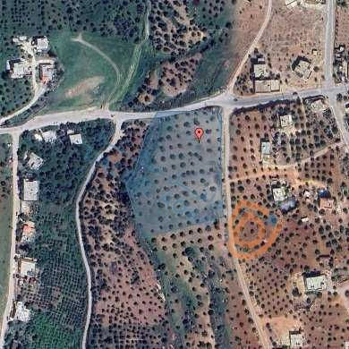 أرض في جرش-قضاء برما-برما البلد-حي الفرديس - 215,000 دأ - صورة 1