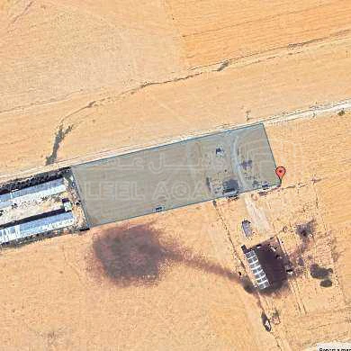 أرض في المفرق ثغرة الجب المنيفة  - 37,000 دأ - صورة 1