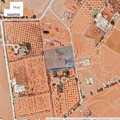 أرض في محافظة العاصمة- جنوب عمان- ام العمد - 160,000 دأ - صورة 1