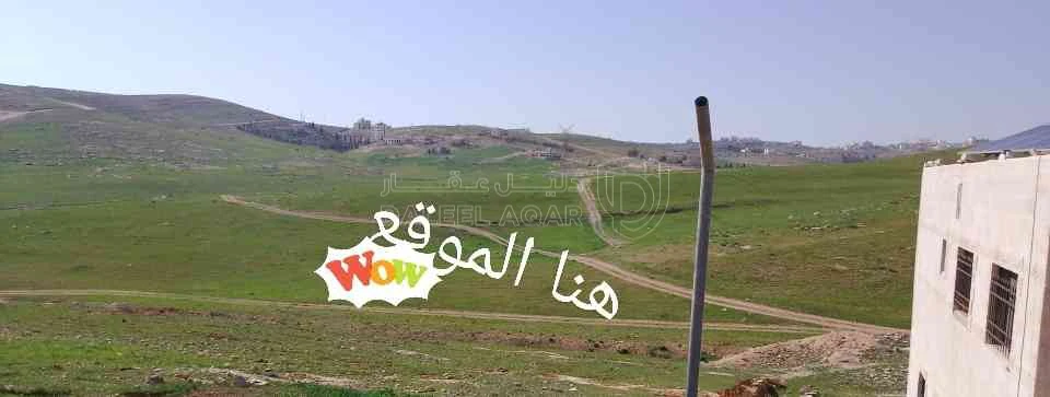 أرض في زينات الربوع - 48,000 دأ - صورة 1