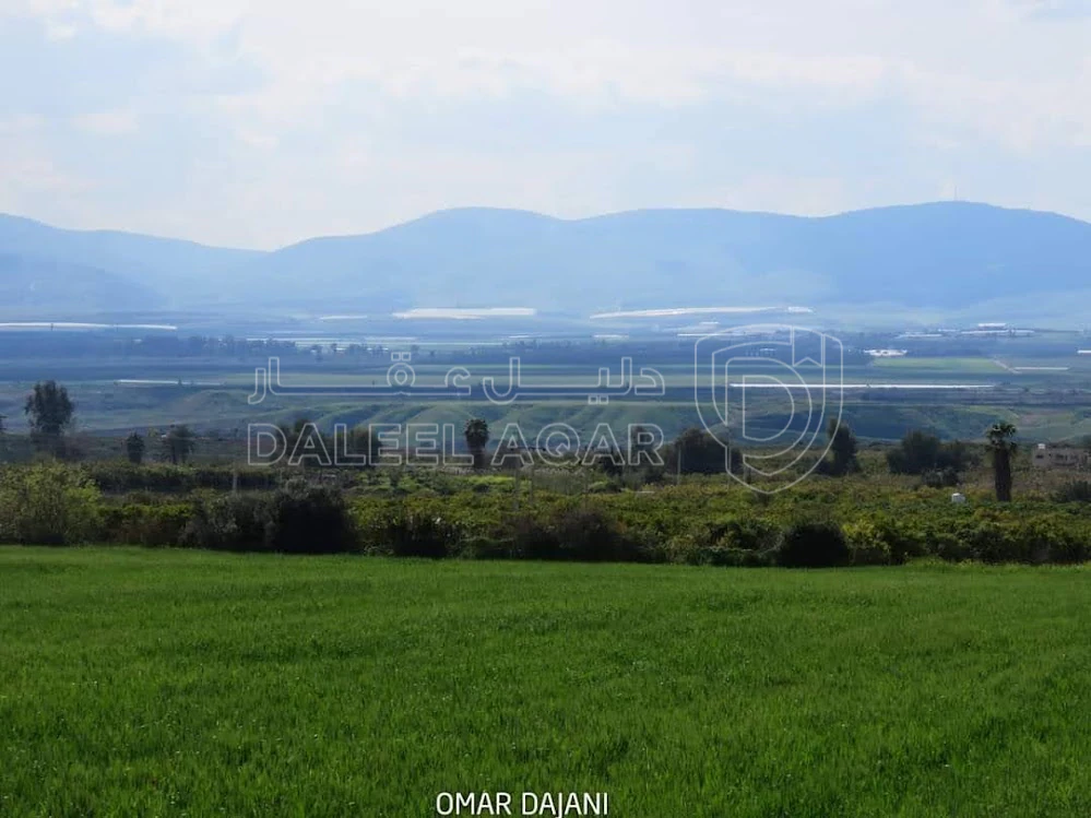 أرض في غور نمرين السكنه  - 115,000 دأ - صورة 1