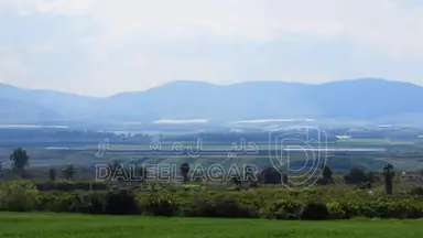 أرض في غور نمرين السكنه  - 115,000 دأ - صورة NaN