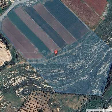 أرض في ارض _ ناعور - 3,914,000 دأ - صورة 1