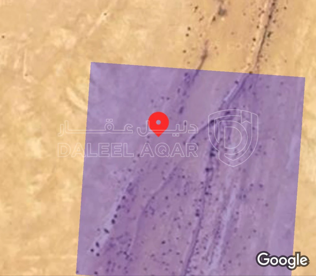 أرض في ارض في الموقر مقابل عمان الجديده  - 32,000 دأ - صورة 1