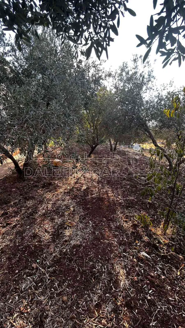 فيلا/منزل في عمان البيادر ابو السوس بالقرب من مسجد ابو السوس الكبير  - 145,000 دأ - صورة 1
