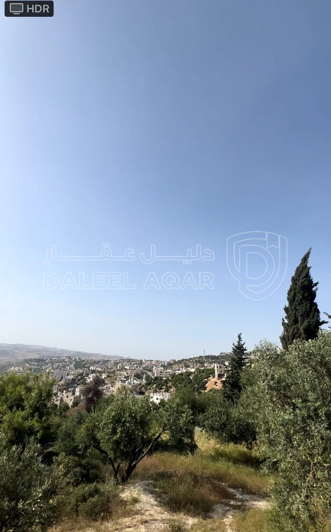 أرض في ماحص / أطراف منطقة بدر الجديده / بجانب قصر السعودي  - 180,000 دأ - صورة 1