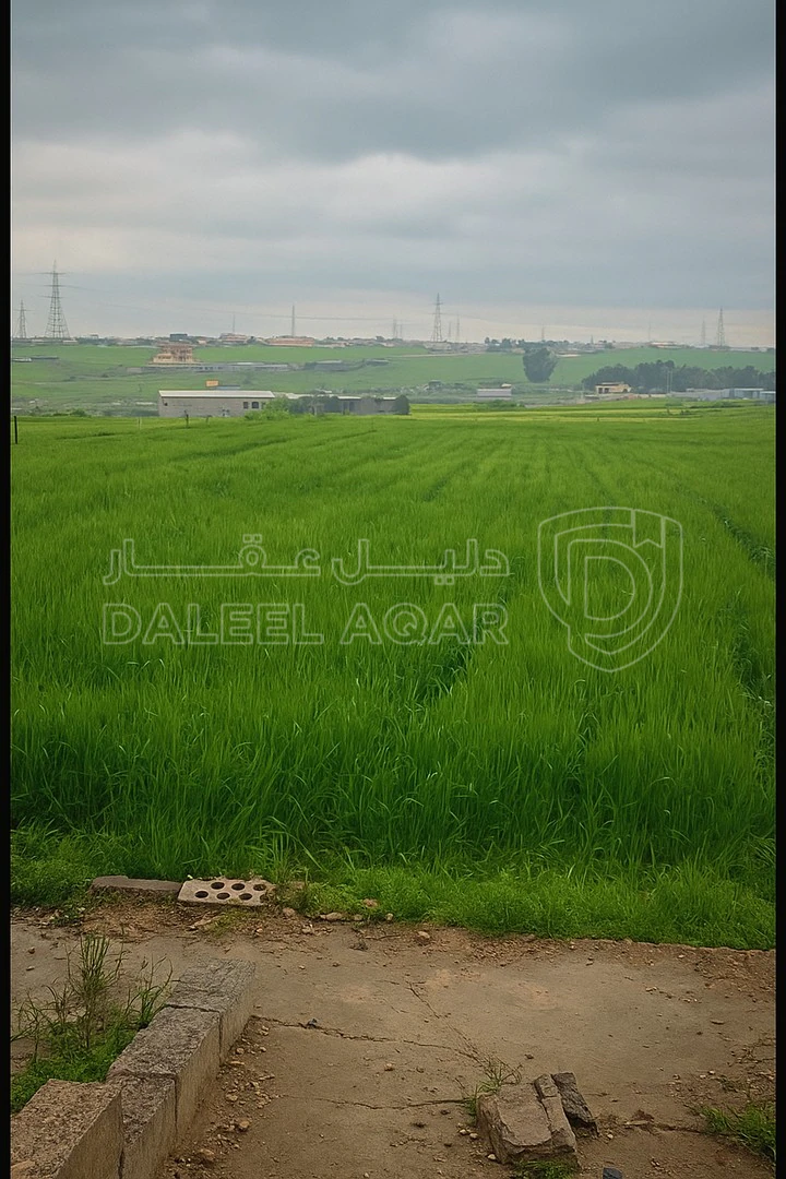 أرض في ارض للبيع في عمان تبعد 4 كم فقط عن جسر المطار  - 70,000 دأ - صورة 1