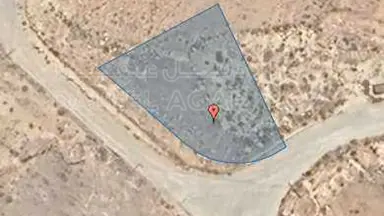 أرض - الزرقاء-جريبا - 38500 دأ