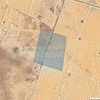 أرض في البادية الشماليه - 6,000 دأ - صورة 1