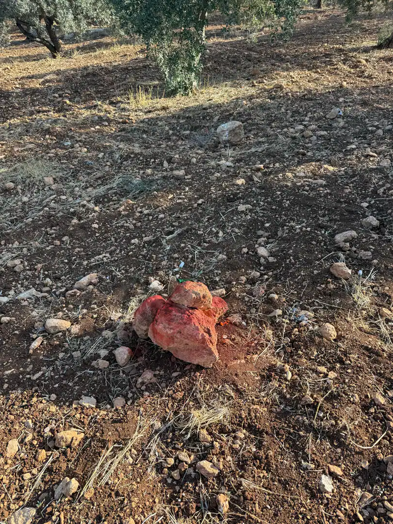 أرض في ناعور زبود - 275,000 دأ - صورة 1