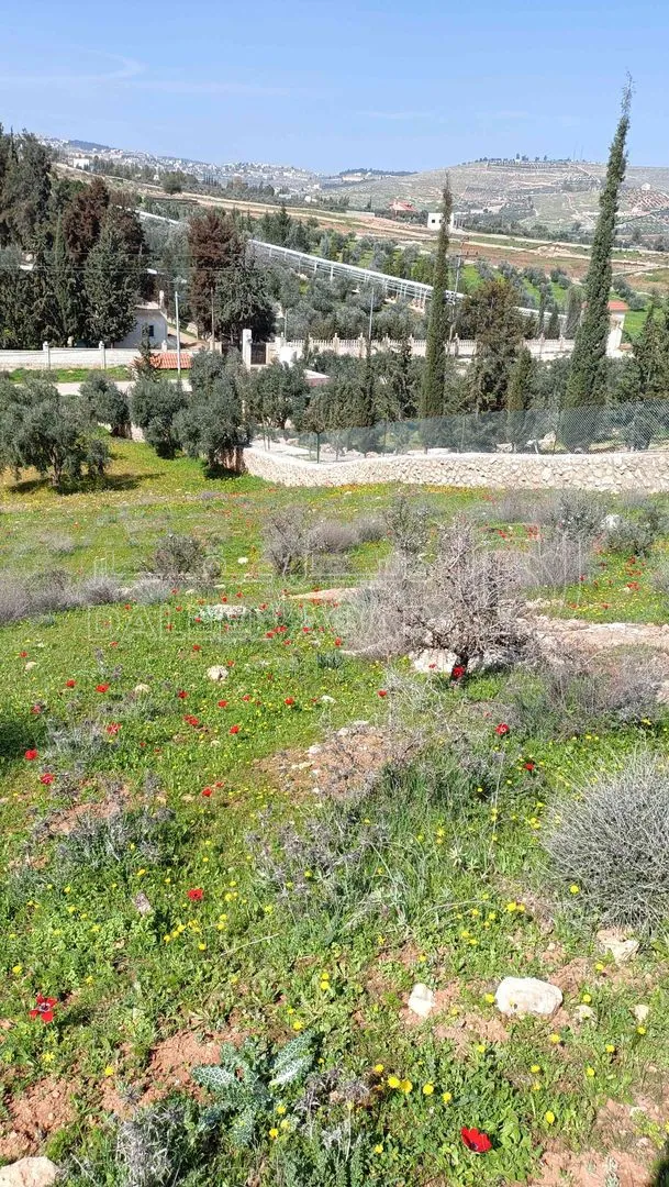 أرض في منطقة دحل طريق الزرقاء جرش - 50,000 دأ - صورة 1