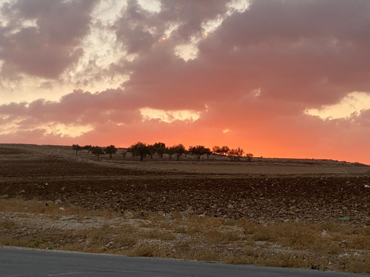 أرض في ناعور  - بلعاس  - 85,000 دأ - صورة NaN